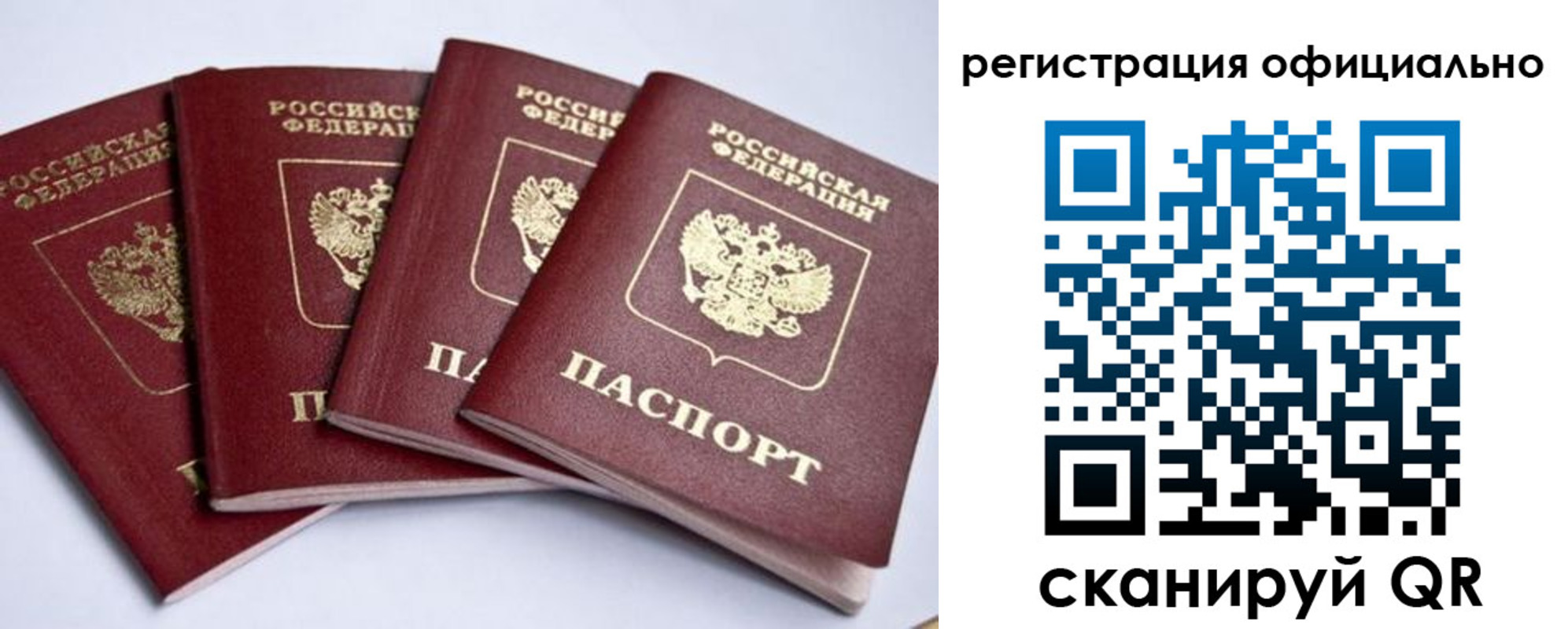 пропишу в квартире в Чайковском